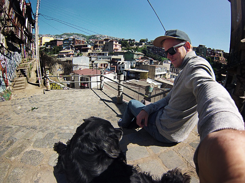 hund-valparaiso-cerro