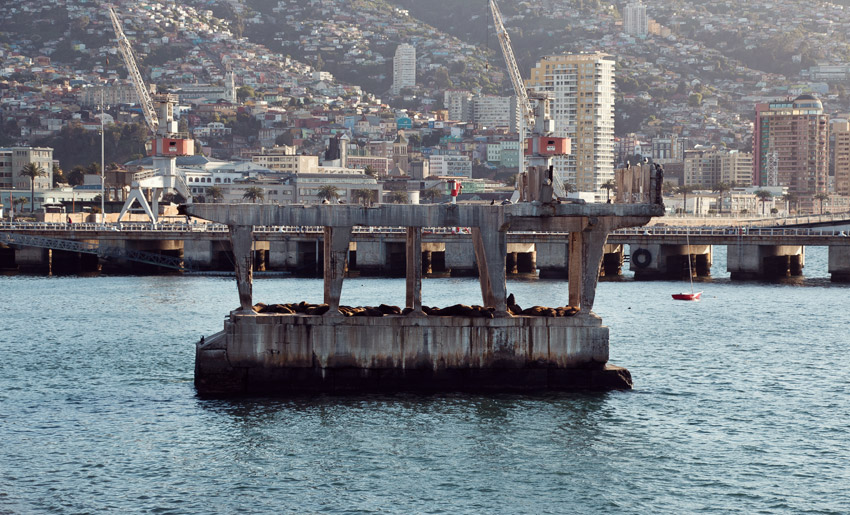 Walrosse vor Valparaíso
