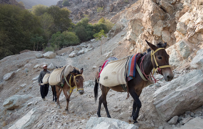 In der Nähe von Darband